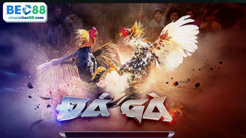 Khám phá Đá gà BEC88