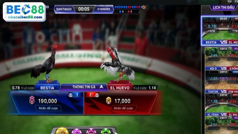 Những hình thức chọi gà trên trang BEC88