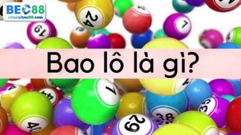Tìm hiểu bao lô là gì? 